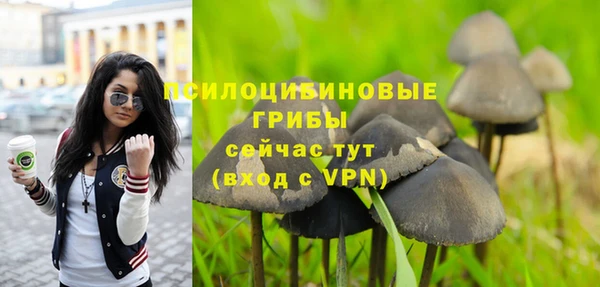 винт Гусев