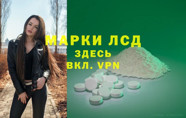 шишки Гусь-Хрустальный