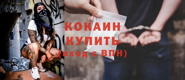 шишки Гусь-Хрустальный