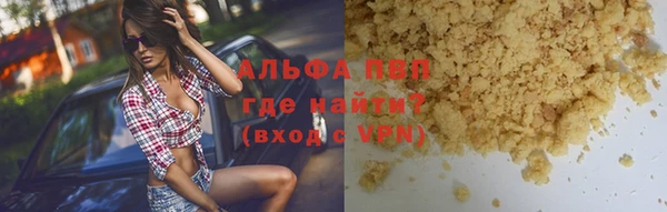 шишки Гусь-Хрустальный