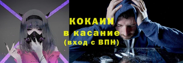винт Гусев