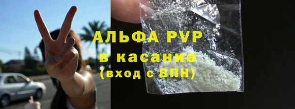 шишки Гусь-Хрустальный