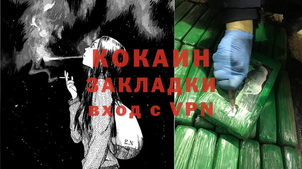 шишки Гусь-Хрустальный