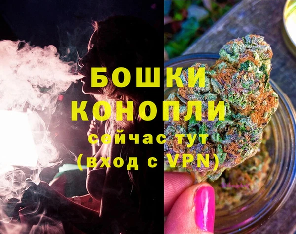 шишки Горнозаводск