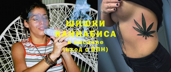 шишки Горнозаводск