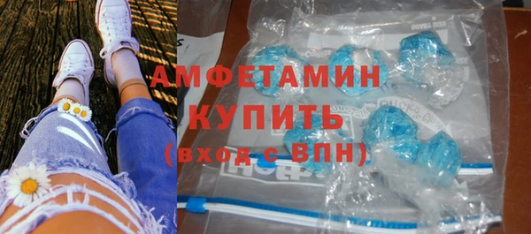 шишки Горнозаводск