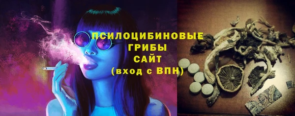 шишки Гусь-Хрустальный