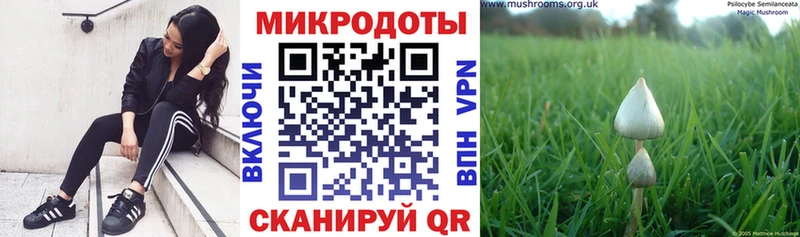 Псилоцибиновые грибы Psilocybe  Салават 